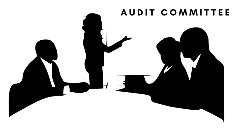 audit-committee